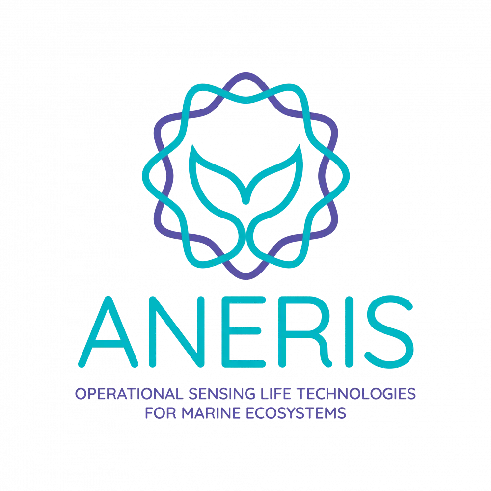 Aneris